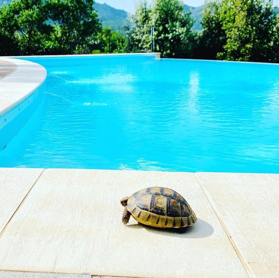 Villa Anastasia Cugnana Eksteriør bilde